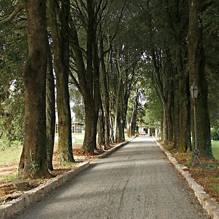 Borgo Mucellena Konuk evi Casole dʼElsa Dış mekan fotoğraf